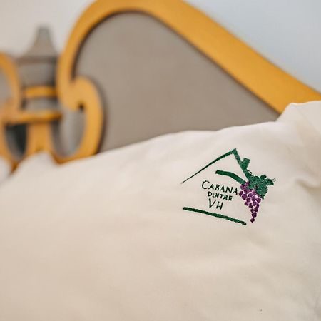 Cabana Dintre VII Apoldu de Sus Buitenkant foto